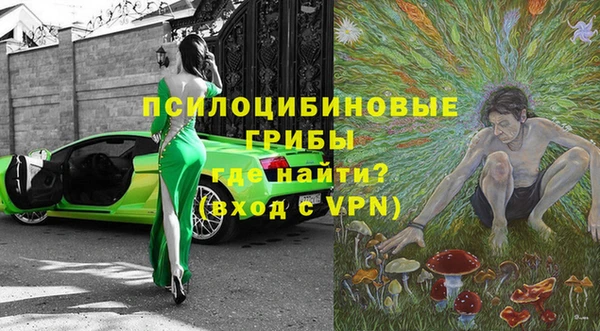 эйфоретик Алексин