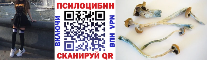 Псилоцибиновые грибы мицелий  дарнет шоп  Гвардейск 